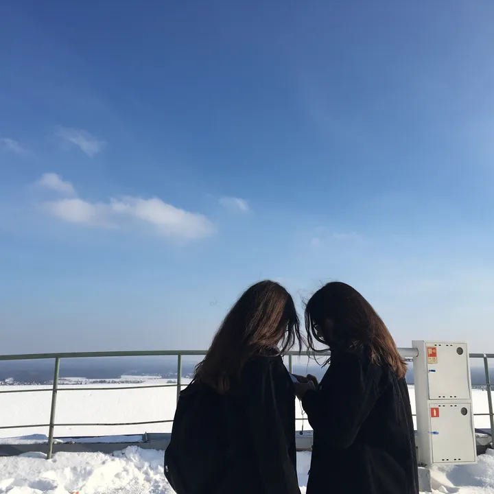 twinssen