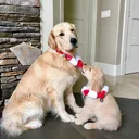@marty.and.murphy