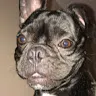 lucasstitch