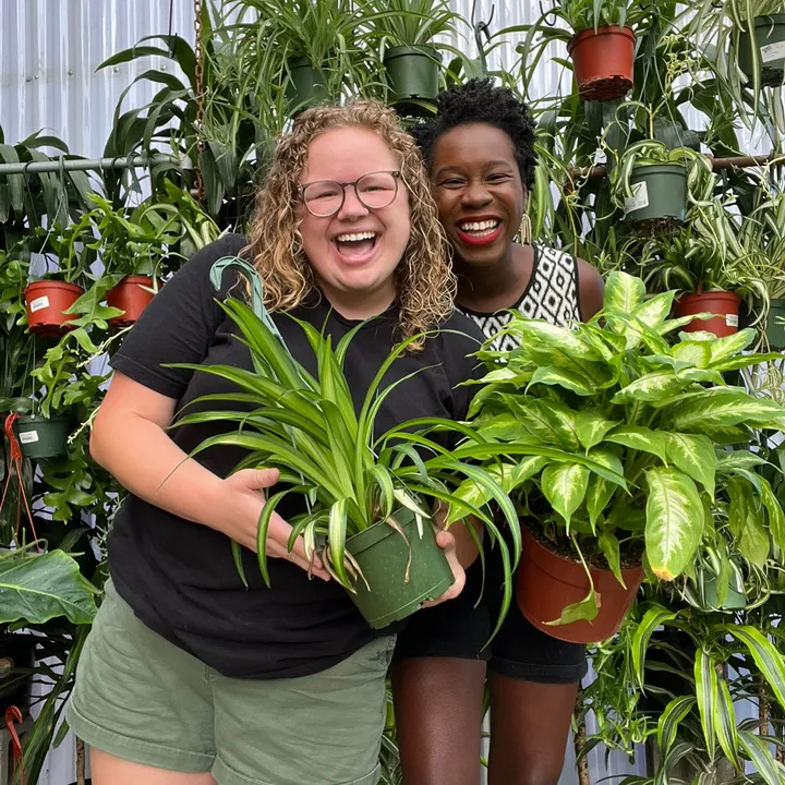 curlycultivators