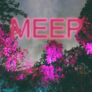 @__meep_meep__