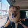 jhanla.com01