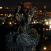 cp.werewolf_lucien
