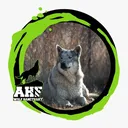 @allheartsfoundation