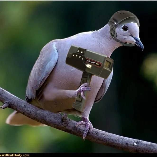 @birdpoop12