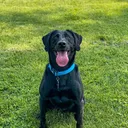 @justmetadognamedmaria