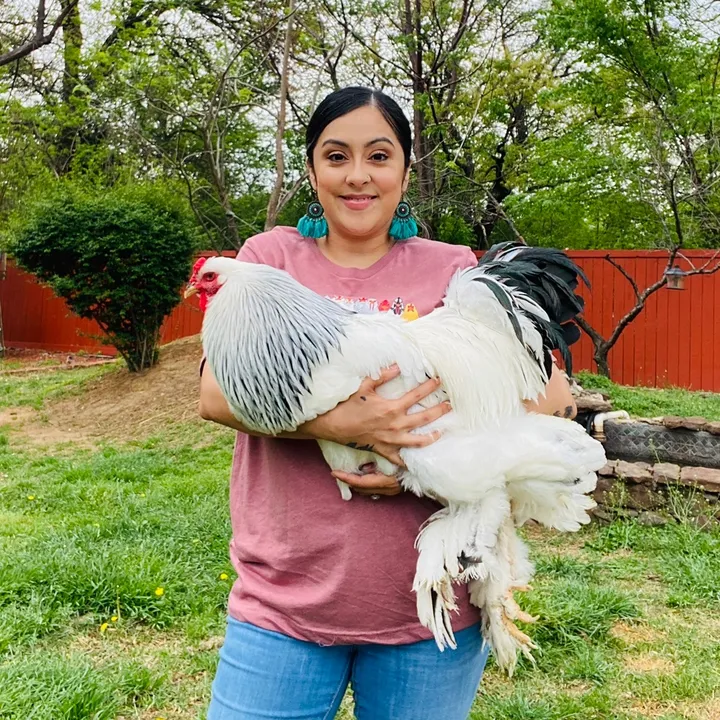ramosdaintyfarm