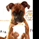 @charlie.girl731
