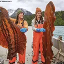 @daybreakseaweed