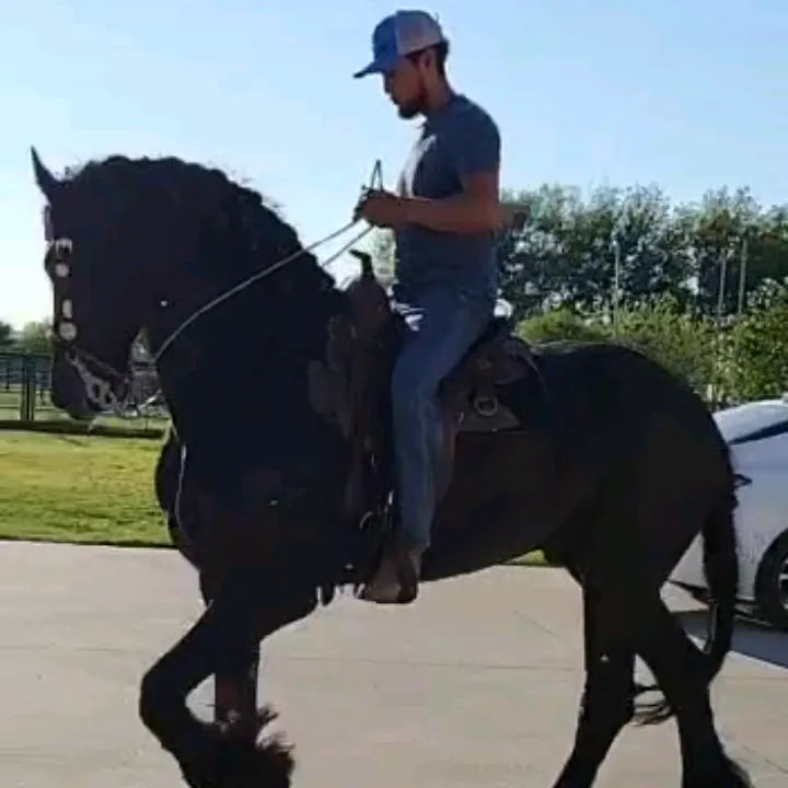 @joserefugiodiaz49