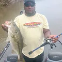 @markbassassassin