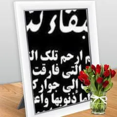 @mostafaragab3893