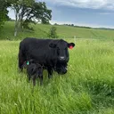 @wienandfarms