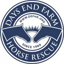 @daysendfarmhorserescue