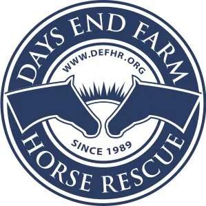 daysendfarmhorserescue