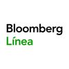 bloomberglinea