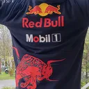 @leonlunalainez