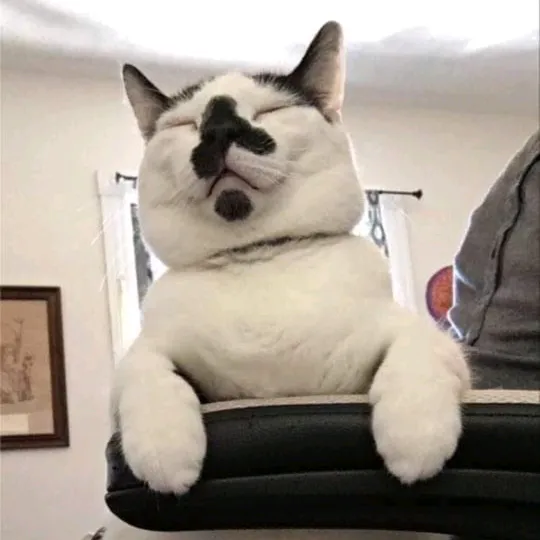 mochi_moo_cow
