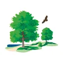 @dupageforest