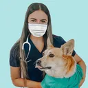 @whitecoatsandcorgis