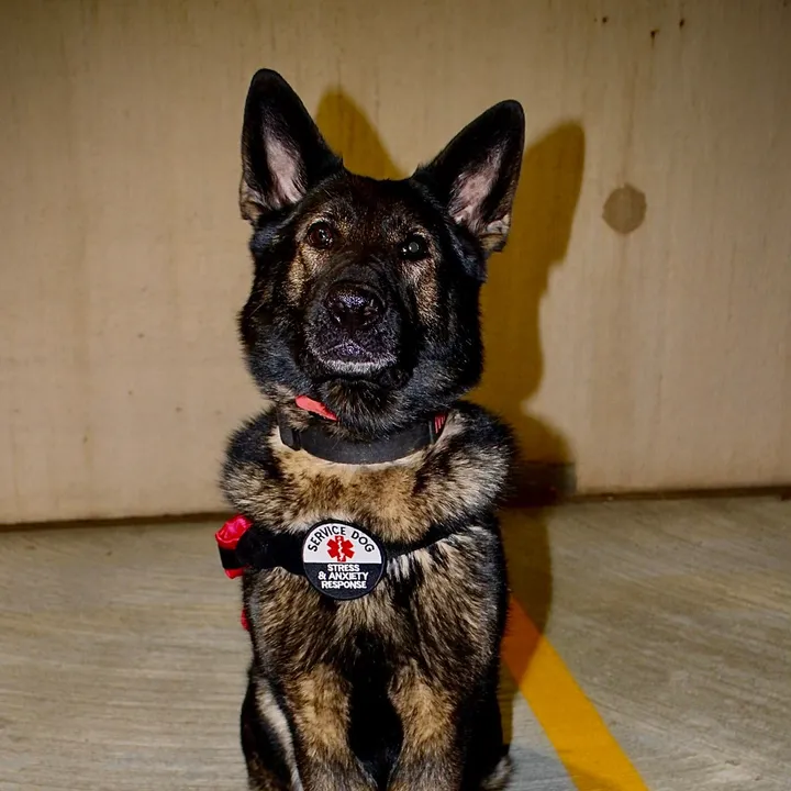 @k9mali