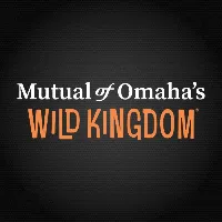 wildkingdomtv