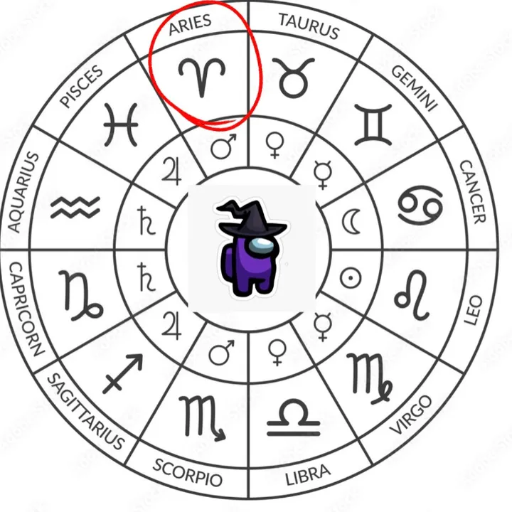 zodiac_wizard