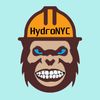 hydro.nyc