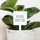 @lifestorageuser