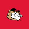 valleycats
