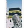 mona.radwan34