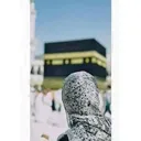 @mona.radwan34