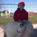@user531423711