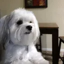 @richs57