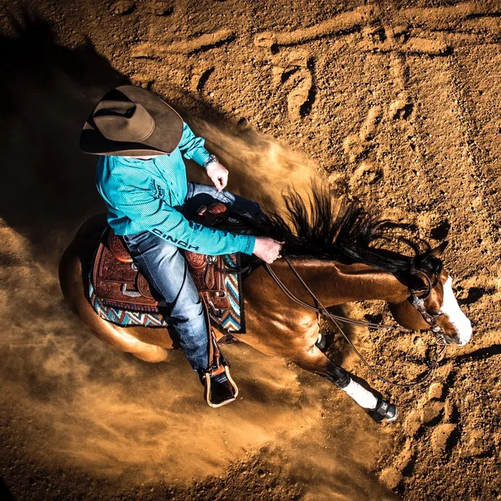 larsonperformancehorses