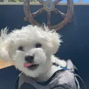 @cloudidity