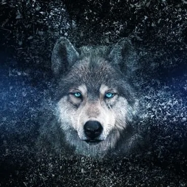 wolfsongsremedies111