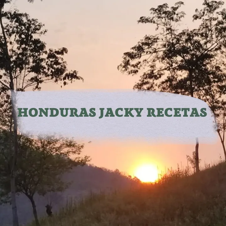 hondurasjackyrecetas