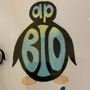 @apbiopenguins