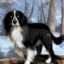@doggomawm