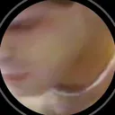@hoytnyc