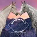 @cannedoreos.hr