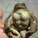 @matthewbtorresoffical