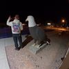 wildwestrooster