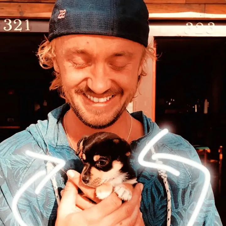 tomfeltonig