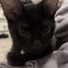jaylennmaria