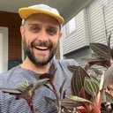 @plantwaif