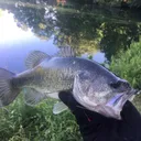 @thefishingnc