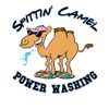 spittincamel