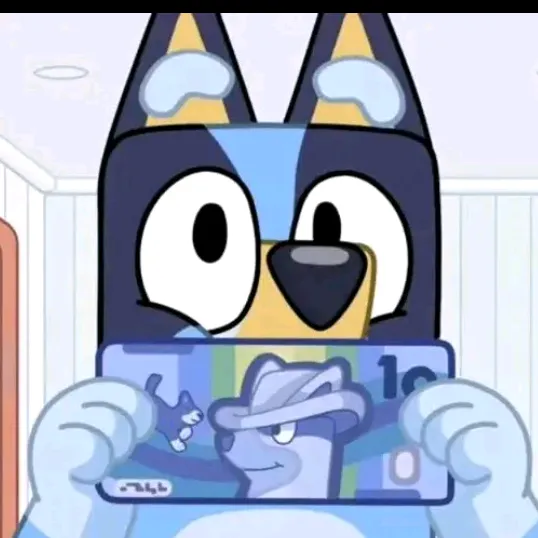 bluey4lifedaily